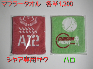GFT2012W_1014.jpg