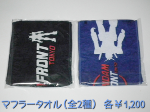 GFT2012W_1028.jpg